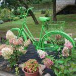 07.09.2020. Klonów. Wiejski Ogród Botaniczny / Anna Głąb / Radio Kielce