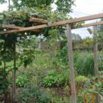 07.09.2020. Klonów. Wiejski Ogród Botaniczny / Anna Głąb / Radio Kielce