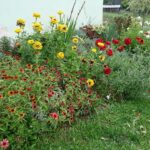 07.09.2020. Klonów. Wiejski Ogród Botaniczny / Anna Głąb / Radio Kielce