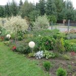 07.09.2020. Klonów. Wiejski Ogród Botaniczny / Anna Głąb / Radio Kielce