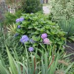 07.09.2020. Klonów. Wiejski Ogród Botaniczny / Anna Głąb / Radio Kielce