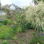 07.09.2020. Klonów. Wiejski Ogród Botaniczny / Anna Głąb / Radio Kielce