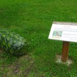 19.09.2020 Nagłowice. Nietypowe rzeźby w nagłowickim parku / Ewa Pociejowska-Gawęda / Radio Kielce