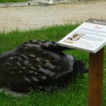 19.09.2020 Nagłowice. Nietypowe rzeźby w nagłowickim parku / Ewa Pociejowska-Gawęda / Radio Kielce