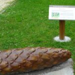 19.09.2020 Nagłowice. Nietypowe rzeźby w nagłowickim parku / Ewa Pociejowska-Gawęda / Radio Kielce