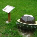 19.09.2020 Nagłowice. Nietypowe rzeźby w nagłowickim parku / Ewa Pociejowska-Gawęda / Radio Kielce