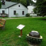 19.09.2020 Nagłowice. Nietypowe rzeźby w nagłowickim parku / Ewa Pociejowska-Gawęda / Radio Kielce