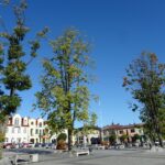 28.09.2020. Małogoszcz. Drzewa na rynku / Ewa Pociejowska-Gawęda / Radio Kielce