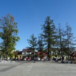 28.09.2020. Małogoszcz. Drzewa na rynku / Ewa Pociejowska-Gawęda / Radio Kielce