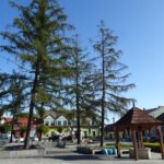 28.09.2020. Małogoszcz. Drzewa na rynku / Ewa Pociejowska-Gawęda / Radio Kielce