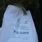 18.09.2020. Nadleśnictwo Jędrzejów. Akcja #sadziMY / Ewa Pociejowska-Gawęda / Radio Kielce