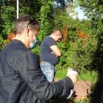 18.09.2020. Nadleśnictwo Jędrzejów. Akcja #sadziMY / Ewa Pociejowska-Gawęda / Radio Kielce