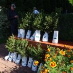 18.09.2020. Nadleśnictwo Jędrzejów. Akcja #sadziMY / Ewa Pociejowska-Gawęda / Radio Kielce