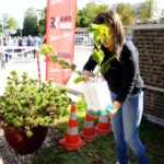 18.09.2020 Kielce. Radio Kielce. Akcja „SadziMY” / Piotr Kwaśniewski / Radio Kielce