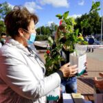 18.09.2020 Kielce. Radio Kielce. Akcja „SadziMY” / Piotr Kwaśniewski / Radio Kielce