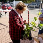 18.09.2020 Kielce. Radio Kielce. Akcja „SadziMY” / Piotr Kwaśniewski / Radio Kielce