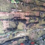 06.09.2020. Elżbiecin. Piknik charytatywny dla Ksawerego / Marta Gajda / Radio Kielce