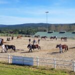 19.09.2020. Regietów. IV Mistrzostwa Polski Hucułów / Marek Biernat