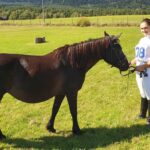 19.09.2020. Regietów. IV Mistrzostwa Polski Hucułów / Marek Biernat