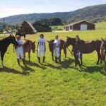 19.09.2020. Regietów. IV Mistrzostwa Polski Hucułów / Marek Biernat