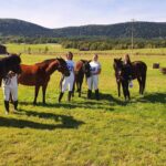 19.09.2020. Regietów. IV Mistrzostwa Polski Hucułów / Marek Biernat