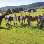 19.09.2020. Regietów. IV Mistrzostwa Polski Hucułów / Marek Biernat