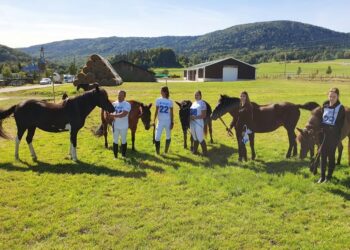 19.09.2020. Regietów. IV Mistrzostwa Polski Hucułów / Marek Biernat