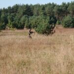 28.09.2020 Staszów. Strzeleckie ćwiczenia z podstaw taktyki zielonej / Mł. Insp. ZS Marek Morawski