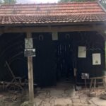 04.09.2020. Dąbie. Park Etnograficzny „Pod kogutem” / Grażyna Szlęzak-Wójcik / Radio Kielce