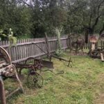 04.09.2020. Dąbie. Park Etnograficzny „Pod kogutem” / Grażyna Szlęzak-Wójcik / Radio Kielce