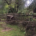 04.09.2020. Dąbie. Park Etnograficzny „Pod kogutem” / Grażyna Szlęzak-Wójcik / Radio Kielce