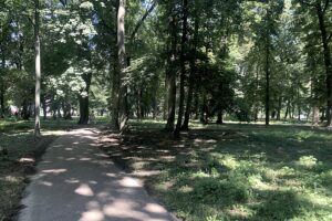 28.07.2020. Sandomierz. Park miejski / Grażyna Szlęzak-Wójcik / Radio Kielce