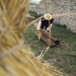 26.09.2020 Chęciny. Pokaz poświęcony bartnictwu i pszczelarstwu / Jarosław Kubalski / Radio Kielce