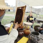 26.09.2020 Chęciny. Pokaz poświęcony bartnictwu i pszczelarstwu / Jarosław Kubalski / Radio Kielce