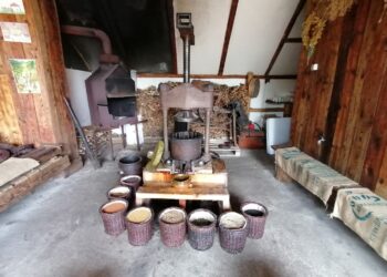 17.09.2020. Mikułowice. Olejarnia Zagłoba / Marta Gajda / Radio Kielce