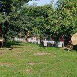 19.09.2020. Opatów. Piknik „Blisko Kultury - Początki Chrześcijaństwa w Europie” / Emilia Sitarska / Radio Kielce