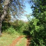 09.09.2020. Ostrowiec Świętokrzyski. Teren zakupionej przez miasto działki / Emilia Sitarska / Radio Kielce