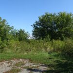 09.09.2020. Ostrowiec Świętokrzyski. Teren zakupionej przez miasto działki / Emilia Sitarska / Radio Kielce