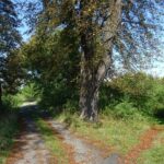 09.09.2020. Ostrowiec Świętokrzyski. Teren zakupionej przez miasto działki / Emilia Sitarska / Radio Kielce