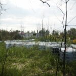 23.09.2020. Nowiny. Składowisko odpadów / Wiktor Taszłow / Radio Kielce