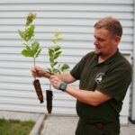 17.09.2020 Suków-Papiernia. Szkółka leśna. Na zdjęciu: Paweł Kosin z Nadleśnictwa Daleszyce / Wiktor Taszłow / Radio Kielce