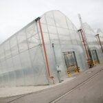 17.09.2020 Suków-Papiernia. Szkółka leśna / Wiktor Taszłow / Radio Kielce