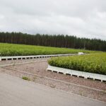 17.09.2020 Suków-Papiernia. Szkółka leśna / Wiktor Taszłow / Radio Kielce