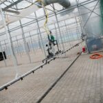 17.09.2020 Suków-Papiernia. Szkółka leśna / Wiktor Taszłow / Radio Kielce