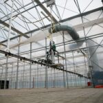 17.09.2020 Suków-Papiernia. Szkółka leśna / Wiktor Taszłow / Radio Kielce