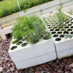 17.09.2020 Suków-Papiernia. Szkółka leśna / Wiktor Taszłow / Radio Kielce