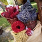 20.09.2020. Tokarnia. 15. Świętokrzyski Jarmark Agroturystyczny / Wiktor Taszłow / Radio Kielce