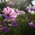 22.09.2020. Kielce. Jesień w ogrodzie botanicznym / Wiktor Taszłow / Radio Kielce