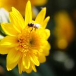 22.09.2020. Kielce. Jesień w ogrodzie botanicznym / Wiktor Taszłow / Radio Kielce