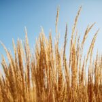 22.09.2020. Kielce. Jesień w ogrodzie botanicznym / Wiktor Taszłow / Radio Kielce